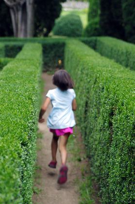 Photo 72 by B Johnson Photos for Worldy Destinations