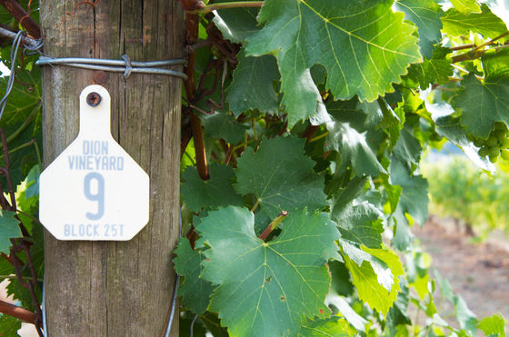 NW Vintner's Assoc - Oregon Wine Country Tour