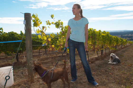 NW Vintner's Assoc - Oregon Wine Country Tour