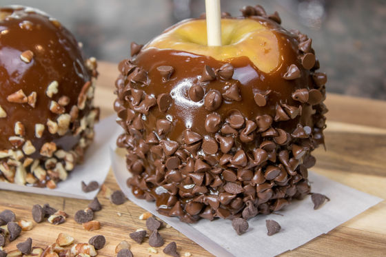 Photo 41 by Creative Maven for Food Photography
