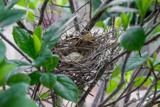 Photo 35 by Creative Maven for Nature Photography