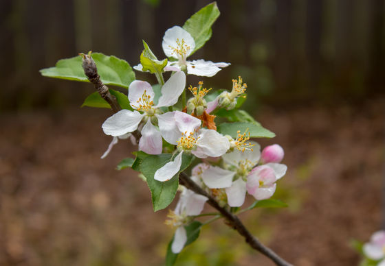 Photo 36 by Creative Maven for Nature Photography