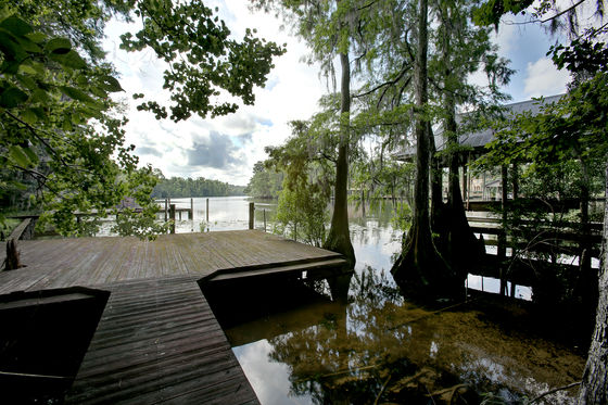 Photo 32 by Dinah L. Rogers for New Orleans Home and Garden