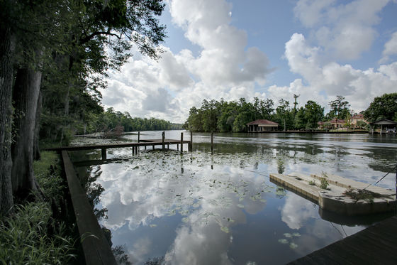 Photo 33 by Dinah L. Rogers for New Orleans Home and Garden