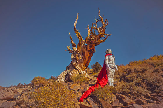 Photo 19 by Karen Jerzyk for The Lonely Astronaut