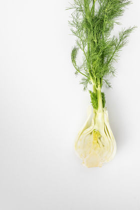 Photo 1 by Derek Bissonnette for Soups from my cookbook
