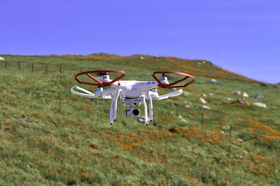 Photo 1 by Scott Hislop for Advertising, Products, Web Pages