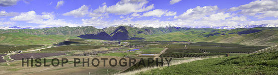 Photo 2 by Scott Hislop for Advertising, Products, Web Pages