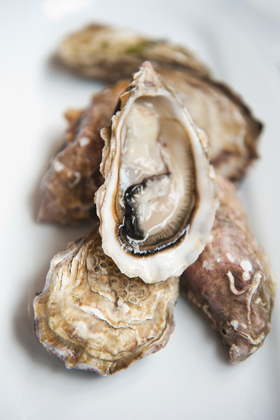 Photo 7 by David Clynch for Food Photography