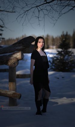 Model