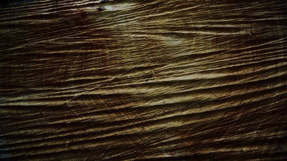 Photo 5 by Chenoa Ashton-Lewis for Nature