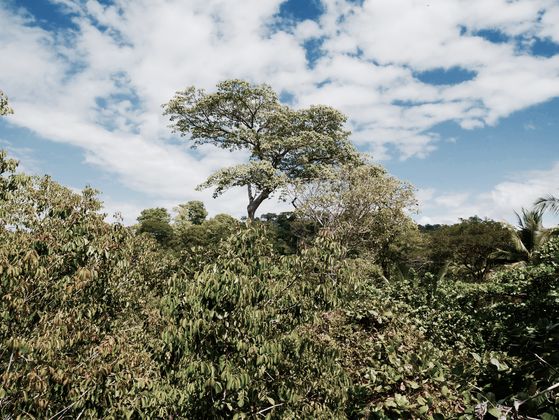 Photo 10 by Chenoa Ashton-Lewis for Nature