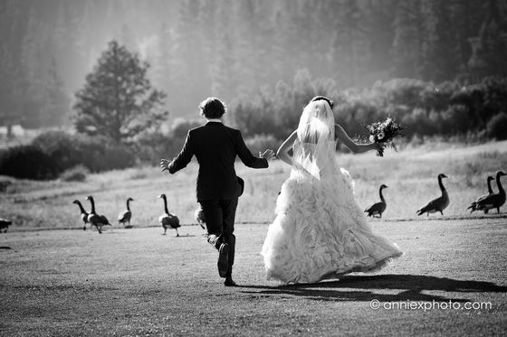 Photo 0 by annie robillard for wedding work