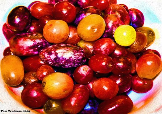 Grapes - Artistic Photography by Tommi Trudeau.