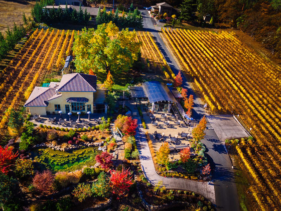 Winery