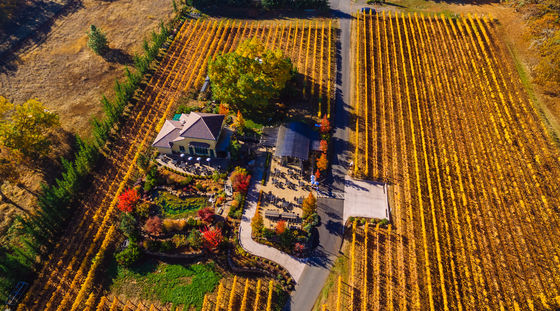 Winery