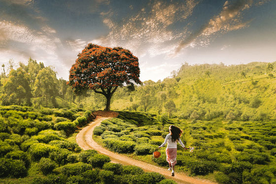 Photo 34 by Natalia Bell for Every shooting is an adventure...