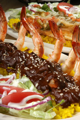 Mole Shrimp