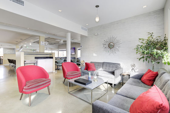Photo 11 by Kevin Bruce for Business