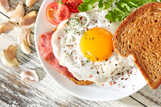 Photo 1 by HAKAN DERE for The Best Egg
