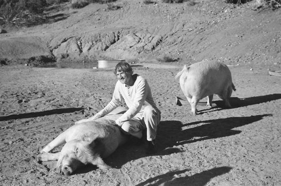 Farm Sanctuary 04 (Pigs/Dr. Will Tuttle)
