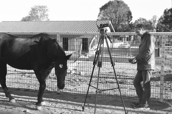 Farm Sanctuary 07 (Horse/Film Crew)